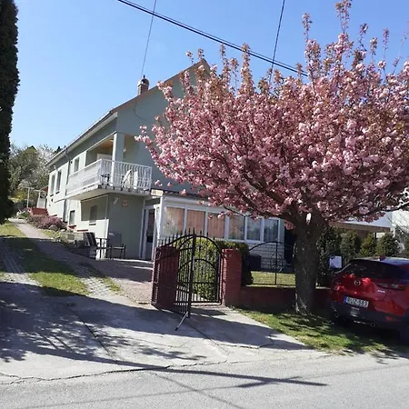 Апартаменты Xxl